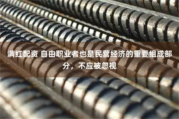 满红配资 自由职业者也是民营经济的重要组成部分，不应被忽视
