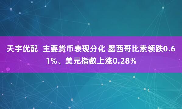 天宇优配  主要货币表现分化 墨西哥比索领跌0.61%、美元指数上涨0.28%