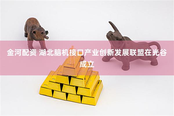金河配资 湖北脑机接口产业创新发展联盟在光谷成立