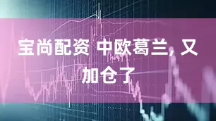宝尚配资 中欧葛兰, 又加仓了